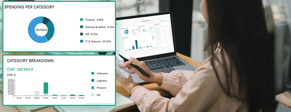 soxes accounts payable module